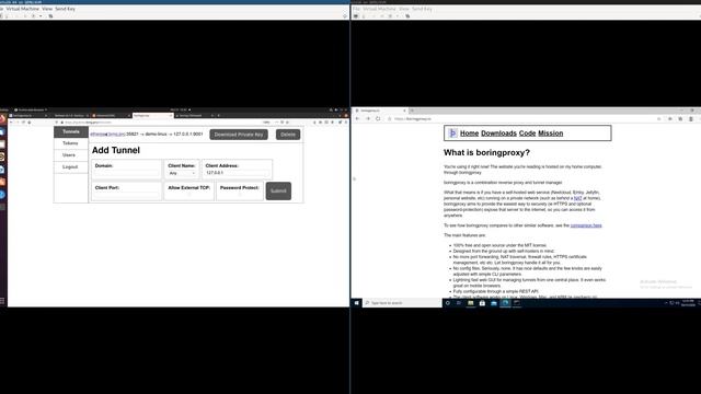 boringproxy demo смотреть онлайн