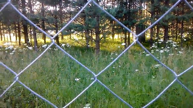 дичь смотреть онлайн