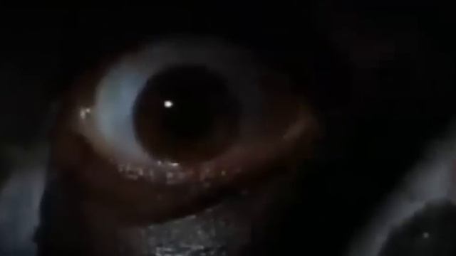 Фильмы про побег из тюрьмы смотреть онлайн
