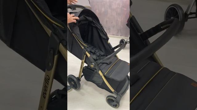 Коляска прогулочная Everflo Go E-500 black смотреть онлайн