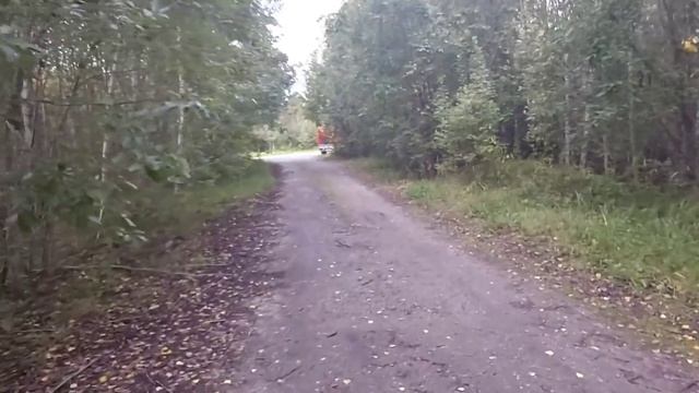 Путь в Карелию смотреть онлайн