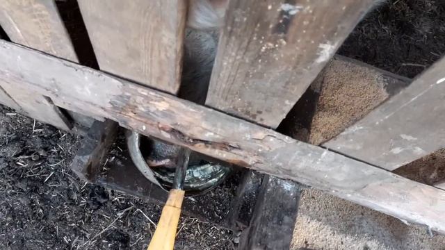 ?Сколько воды нужно выпивать в день на 1 кг веса,чтобы похудеть! смотреть онлайн