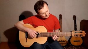 Текстильный городок. Russian seven string guitar D'off RGC