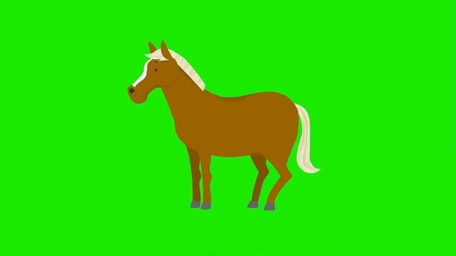 Футажи на хромакее. Домашние животные. Футажи для видеомонтажа. смотреть онлайн