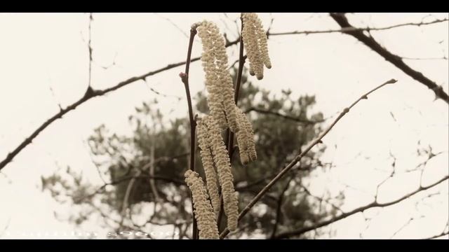 Fujifilm finepix s9600 test pictures смотреть онлайн
