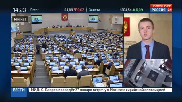 Лавров в Думе что интересовало депутатов смотреть онлайн