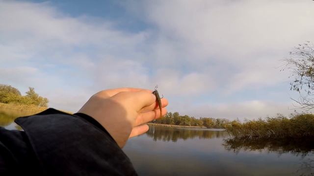 Щука и окунь на пляже. Тренировка перед соревнованиями.