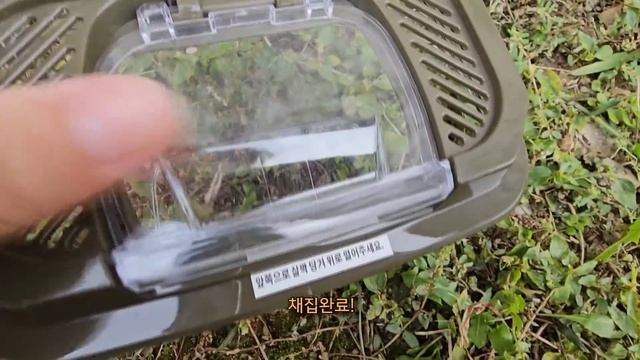 사마귀에게 연가시를 주면 생기는 일 смотреть онлайн