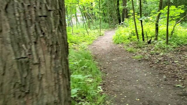 Парк Фили. смотреть онлайн