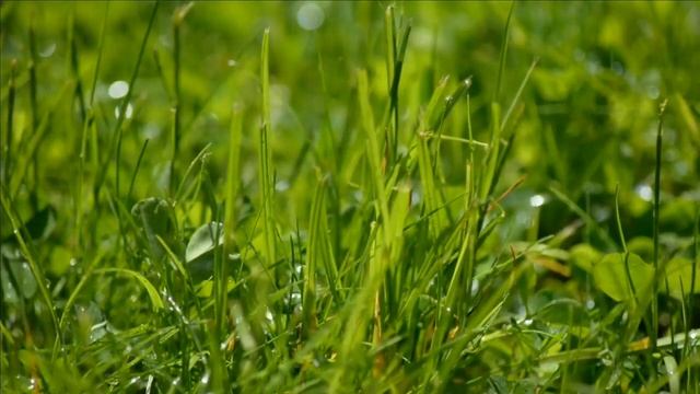 Поэзия души #медитация #релаксация #природавосприятия смотреть онлайн