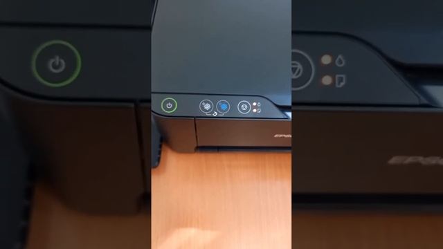 При включении мигают индикаторы одновременно Epson L3100 смотреть онлайн