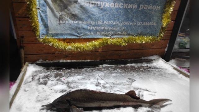 Фотоотчет 21-22.02.2021 г Карпов Пруд смотреть онлайн