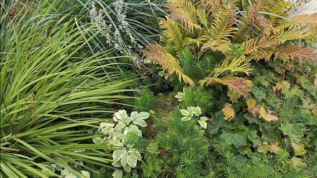 Большой обзор цветников🌺 планы, переделки😊 разобрали один курятник. смотреть онлайн