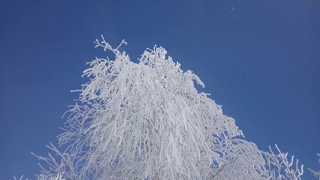 Зімовая прыгажосць смотреть онлайн