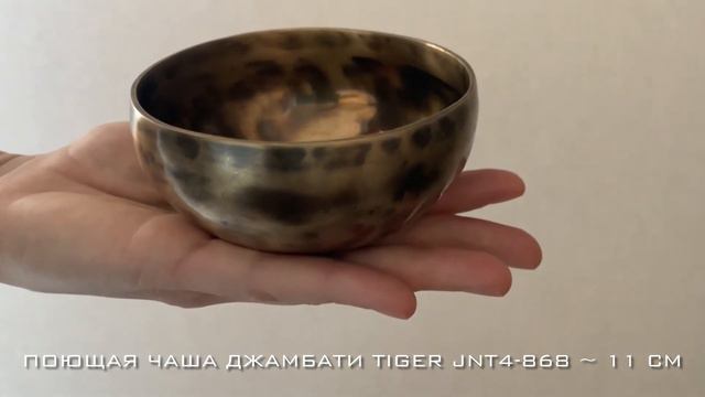 Продана! Тибетская поющая чаша (jnt4-868)