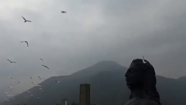 2021 In Isha Yoga Center  #Sadhguru #Adiyogi #shorts #2021