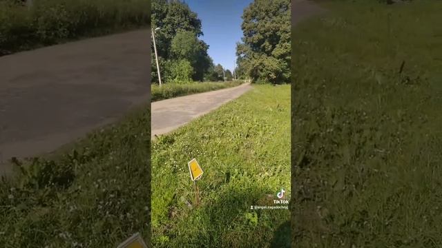 природа птицы лето 2022.mp4