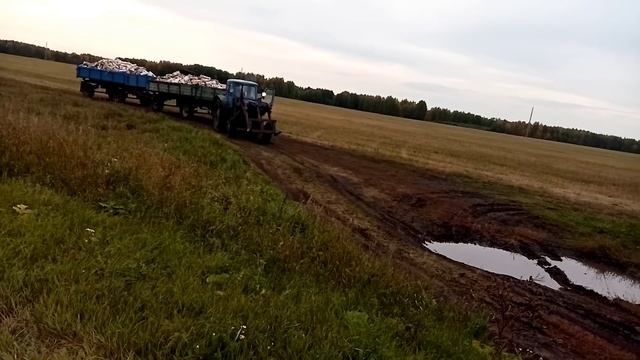 Дожди идут. Возим дрова на мтз 52 по грязи. Урал не возит. смотреть онлайн