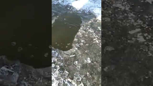 6 марта 2020 г. смотреть онлайн