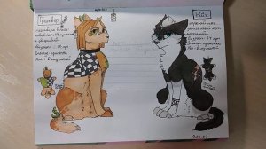 ? Обзор скетчбука коты воители #47?