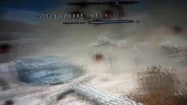 SKYRIM BRIELLE FOLLOWER