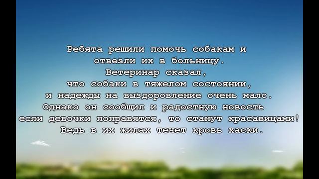 Умирающая собака прятала под животом самое ценное смотреть онлайн