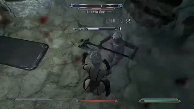 Warrior-monk (nun)/Priestess of Dibella, in action смотреть онлайн