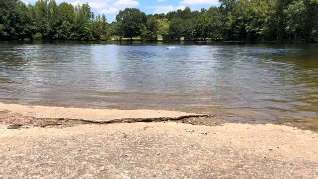 Proboat React 17 2s lipo with Dynamite 60a ESC смотреть онлайн