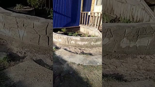 Клуба, цветник, вазон. 15 мая 2022 г.