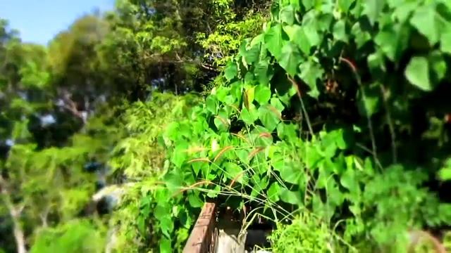 панорамма на острове Путятина смотреть онлайн