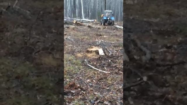 Захват трелевочный смотреть онлайн