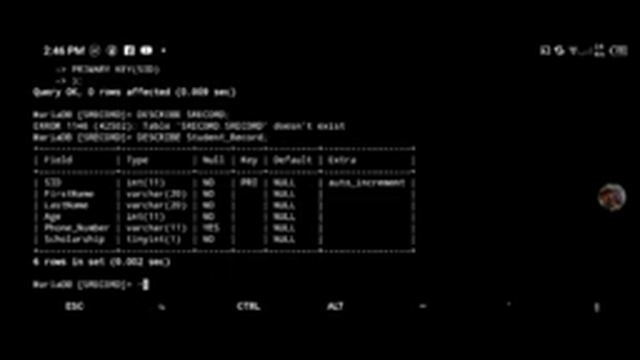 PART 2 | How to CREATE DATABASE | TABLE & INSERT DATA смотреть онлайн