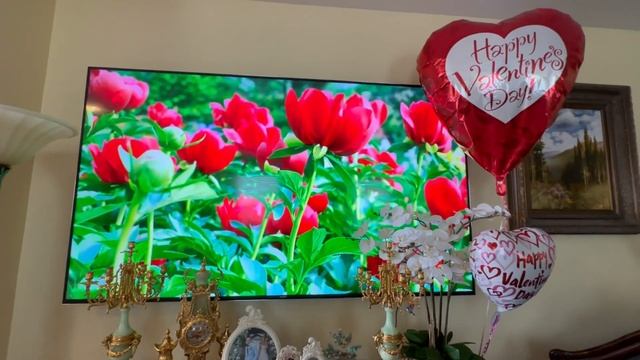 ПАХНЕТ КЛОПАМИ/ МОИ ЛЮБИМЫЕ ЦВЕТЫ/ПЕРЕПЕЛКА ПО ИТАЛЬЯНСКИ/ ОВОЩИ ПО ГРУЗИНСКИ / ОТ ЧЕГО Я ИЗБАВИЛАС смотреть онлайн