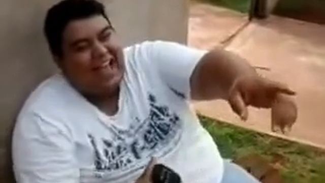Risada do gordo kkkk esse cara sou eu смотреть онлайн
