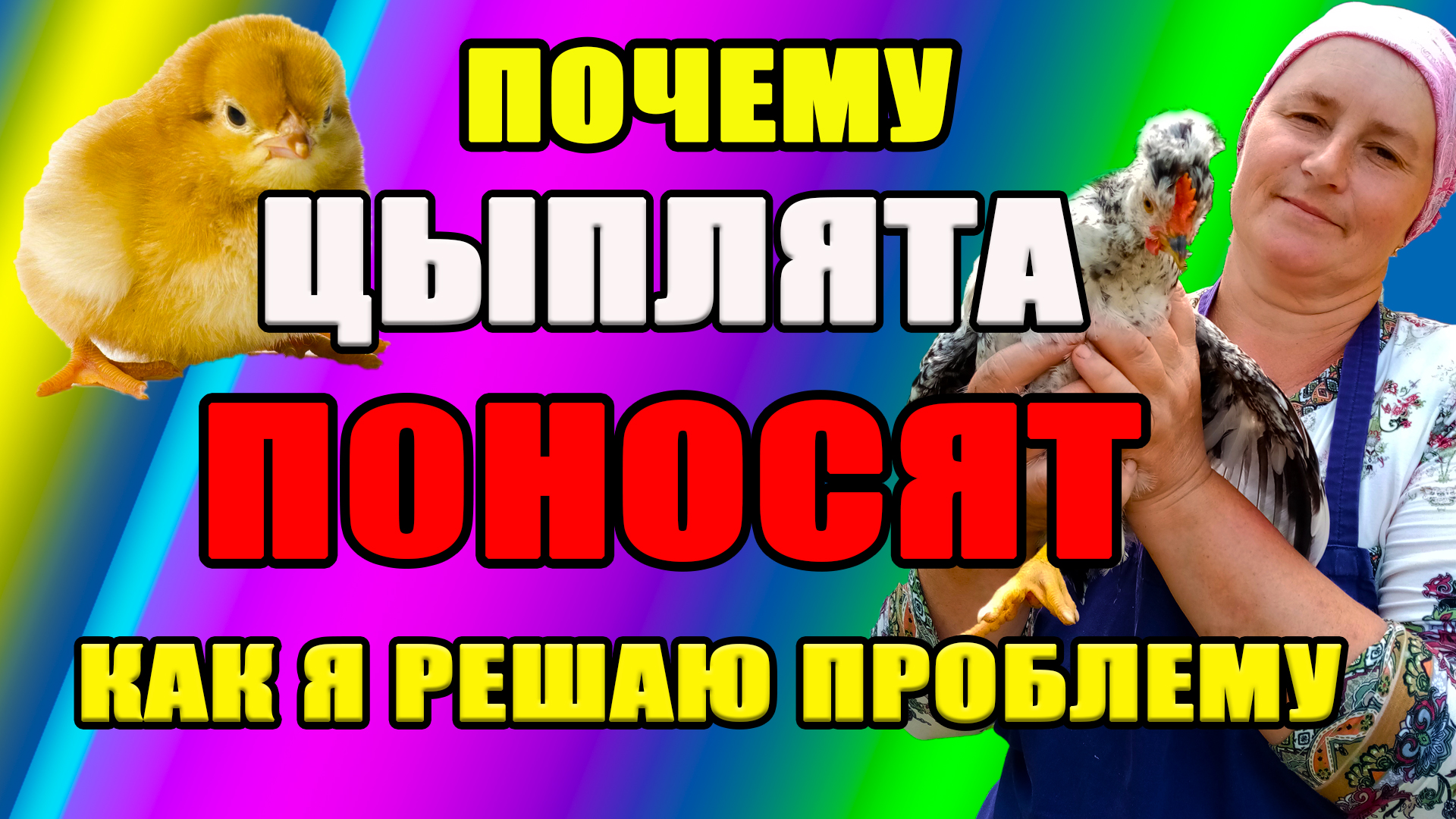 Почему цыплята ПОНОСЯТ. Как я решаю эту проблему. смотреть онлайн