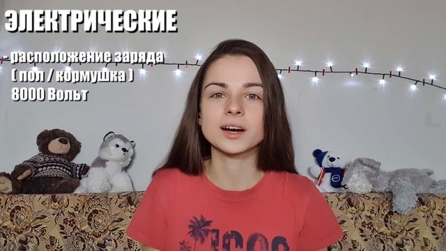Как избавиться от грызунов? Часть 1. Механические мышеловки. смотреть онлайн
