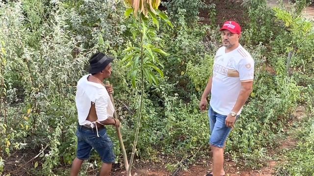 TROLAMOS TIRINGA NO CARNAVAL BLOCO DAS MUQUIRANAS ? | CHÁCARA COMÉDIA SELVAGEM смотреть онлайн