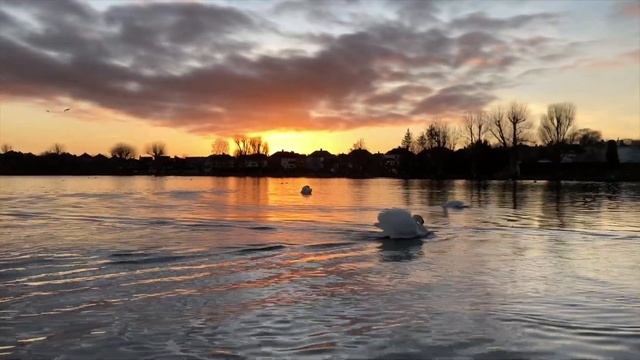 The best of Cork City - Ireland смотреть онлайн