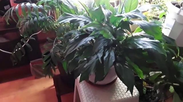 Декабрьский дневник смотреть онлайн