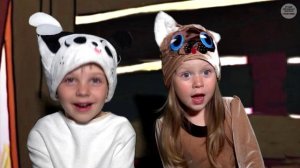 Секретно и ничего непонятно!