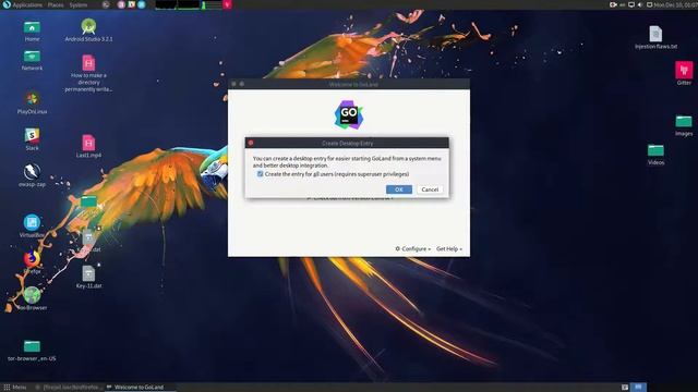 How to install and Configure GoLand Integrated Development Environment on Parrot Security Linux смотреть онлайн