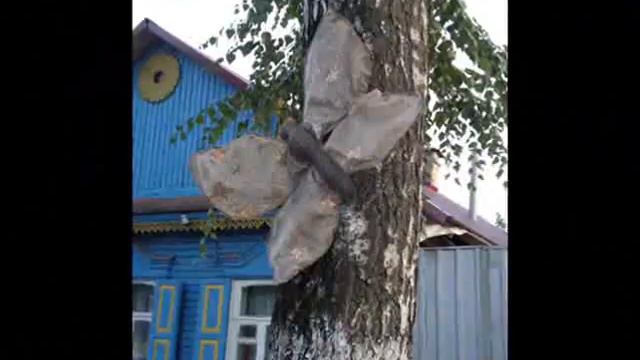 Город Орёл.avi смотреть онлайн