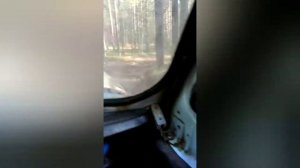 Поездка на УАЗе в лес за грибами. Природа Коми.