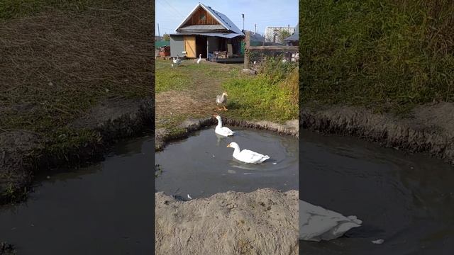 4 ноября 2023 г. смотреть онлайн