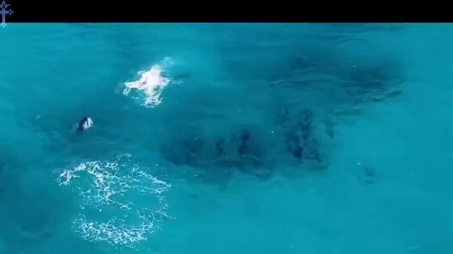 BUNT-on my way oficial video смотреть онлайн