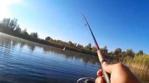 Как пользоваться безынерционной катушкой и почему она приоритетнее мультипликаторной или инерционно