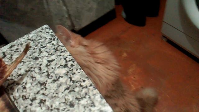 Девиз Рони - Приезжаешь и ублажаешь смотреть онлайн