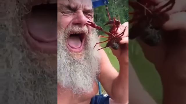 Передача в мире животных😲 смотреть онлайн