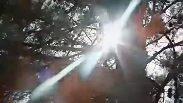 Надо что-то сделал и ты вперёд свои цел ими читай👍 смотреть онлайн