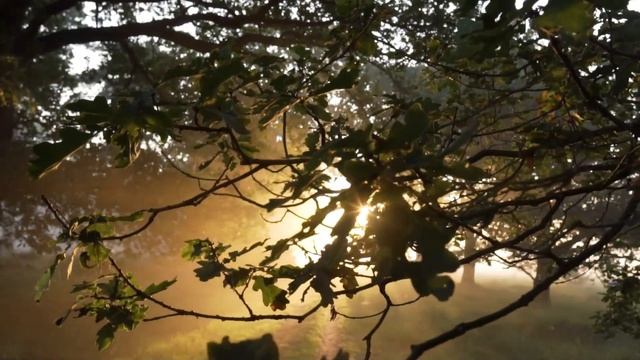 KARUNESH. Beautiful soothing relaxing music sleep. Красивая спокойная расслабляющая музыка для сна смотреть онлайн